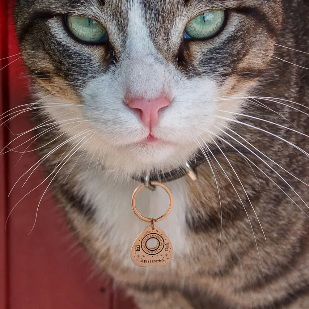 Custom Ouija Planchette Pet Tag |Unique pet id tag