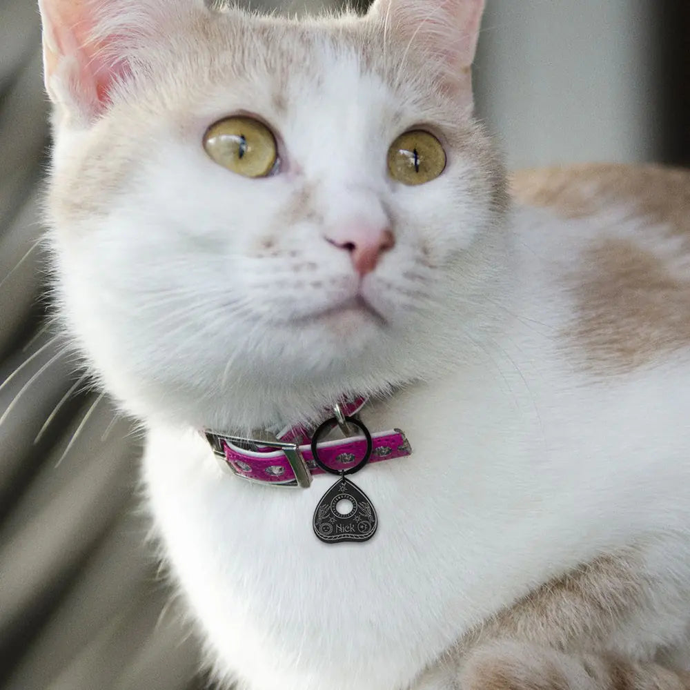Custom Ouija Planchette Pet Tag |Unique pet id tag