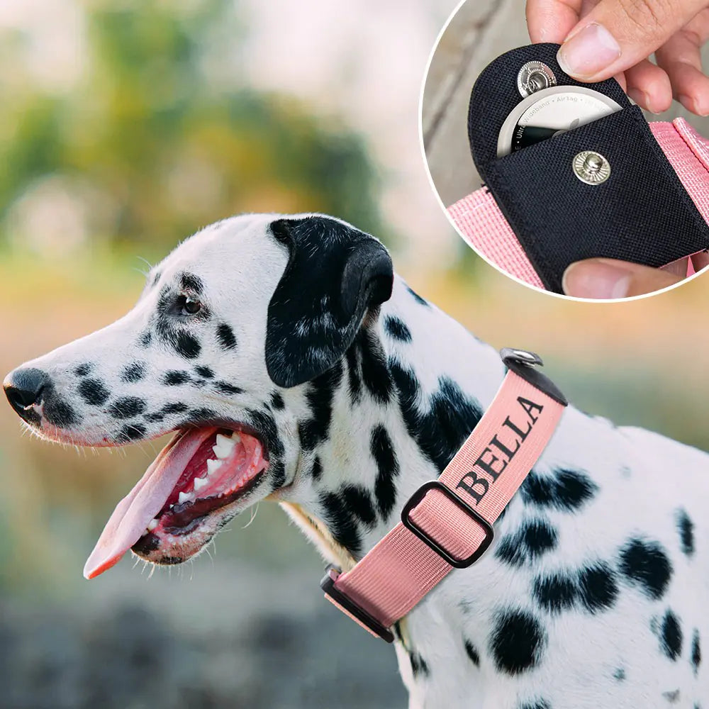 Personalized tactical dog collar | Nylon Dog Collar with AirTag Pocket
