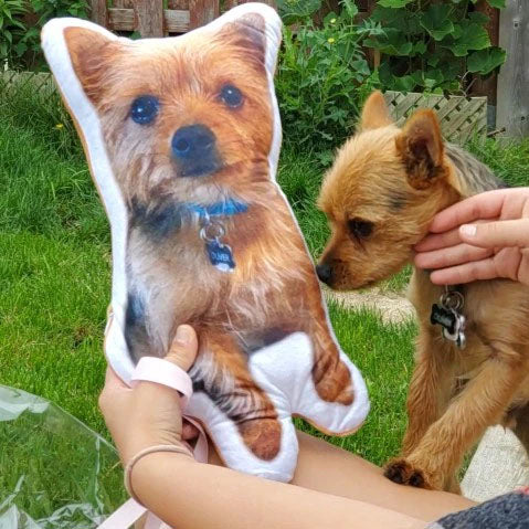 a woman hold a cute custom dog shaped pillow next to her dog