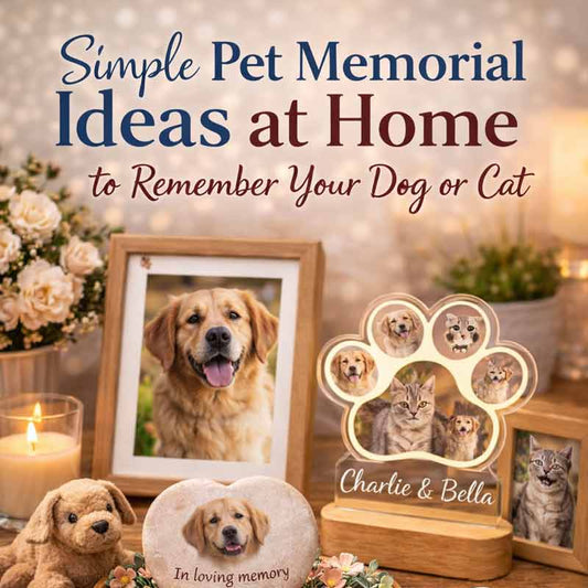 Simple Pet Memorial Ideas at Home to Remember Your Dog or Cat