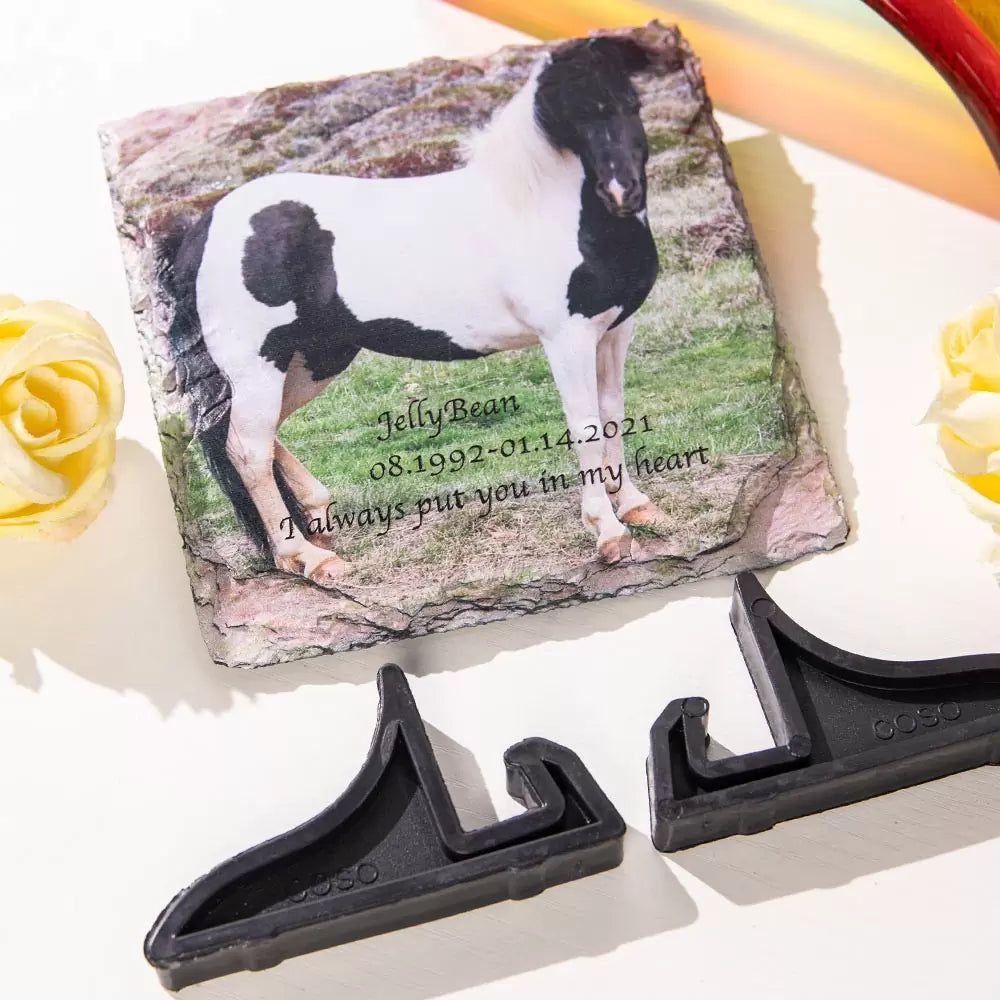 Customize Any Pet Remembrance Photo Plaque