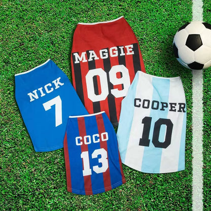Custom Jersey for Pet