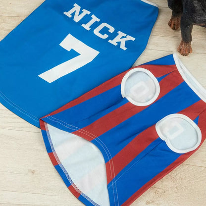 Custom Jersey for Pet