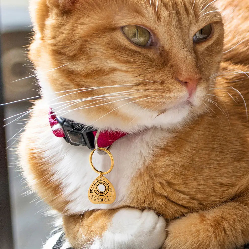 Custom Ouija Planchette Pet Tag |Unique pet id tag