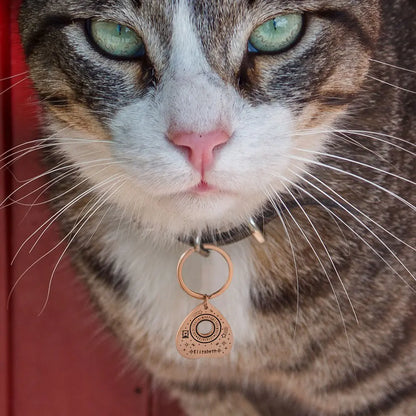 Custom Ouija Planchette Pet Tag |Unique pet id tag