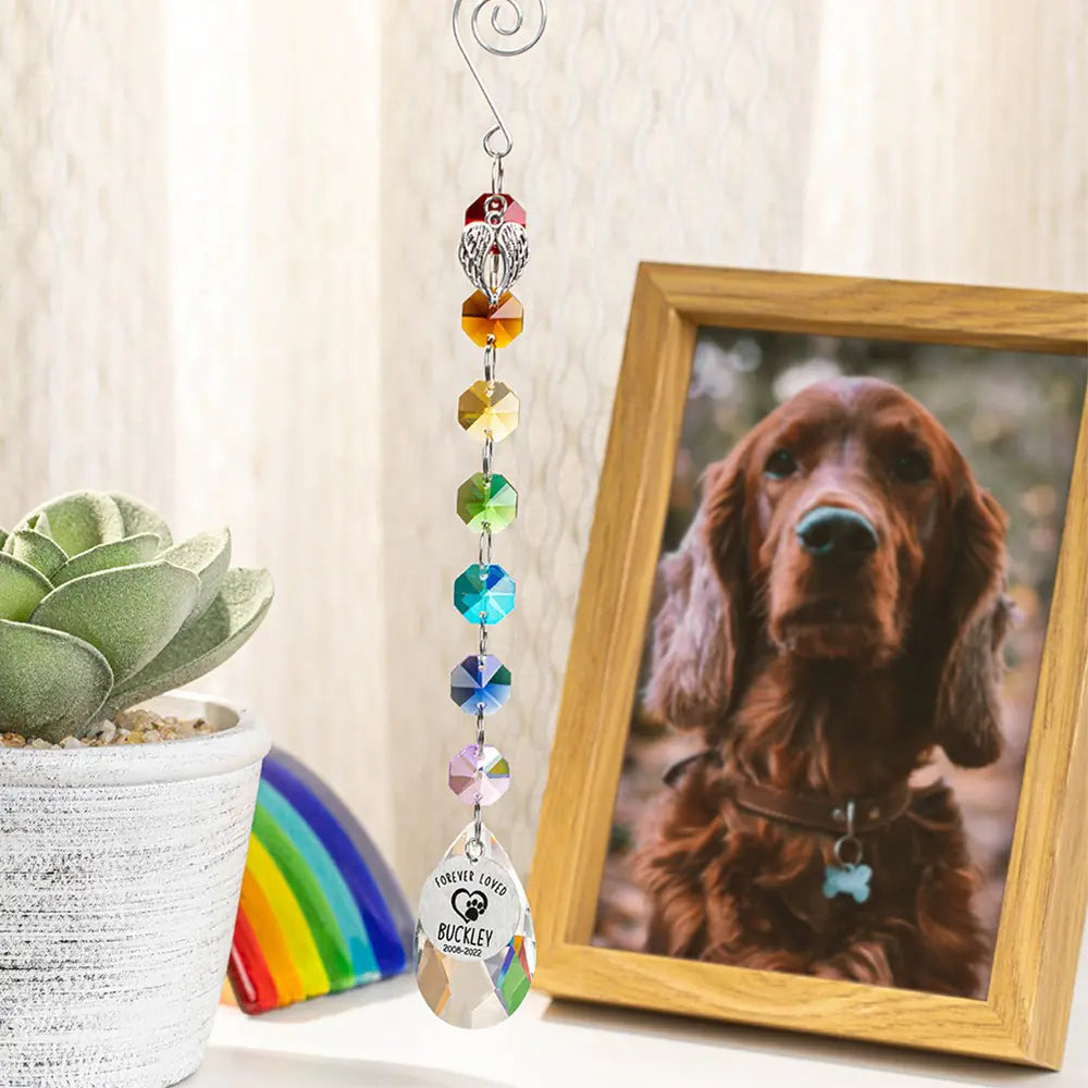 A personalized pet loss suncatcher hanging in front of a framed photo of a dog, with crystals in various colors and angel wings.