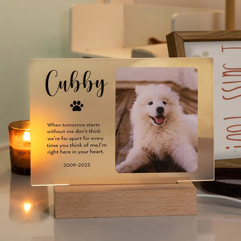 Custom Photo Night Light Memorial Plaque |  Acrylic Sign with Wood Base | Pet memorial plaque
