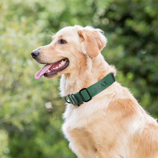 Personalized tactical dog collar | Nylon Dog Collar with AirTag Pocket
