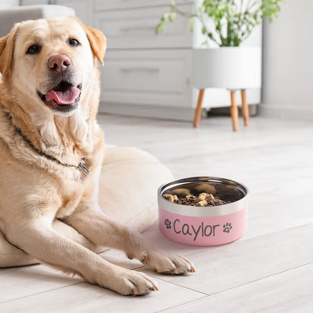 Personalized Stainless Steel Pet Bowl | Custom Dog & Cat Dish