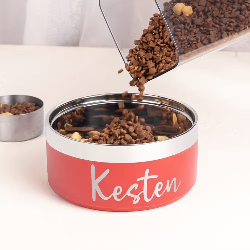 Personalized Stainless Steel Pet Bowl | Custom Dog & Cat Dish