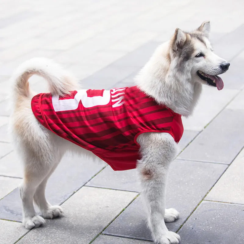 Custom Jersey for Pet