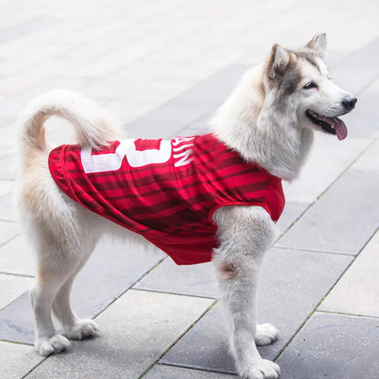 Custom Jersey for Pet