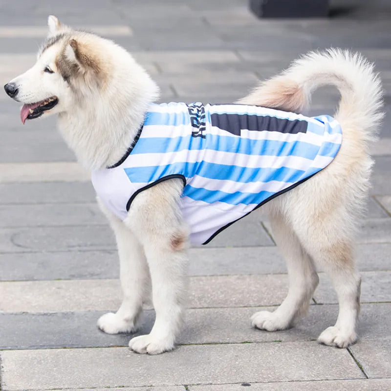 Custom Jersey for Pet