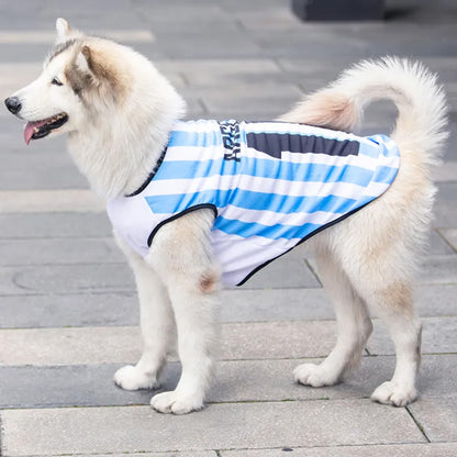 Custom Jersey for Pet