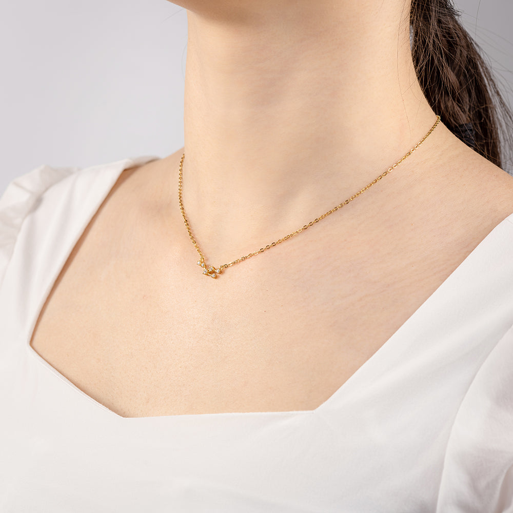 Zodiac Star Sign Necklace | Personalized  Constellation Necklace