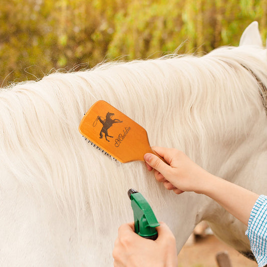 Custom Laser Engraved Horsehair Comb Gift for Horse Lover